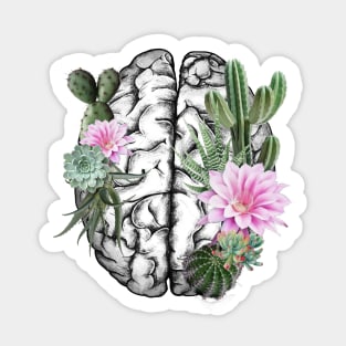 Brain human anatomy,succulents plants, mental Sticker